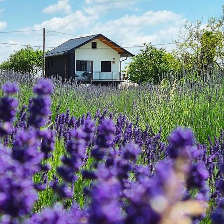 Vacation Home - Nest Kalnik Eksteriør bilde