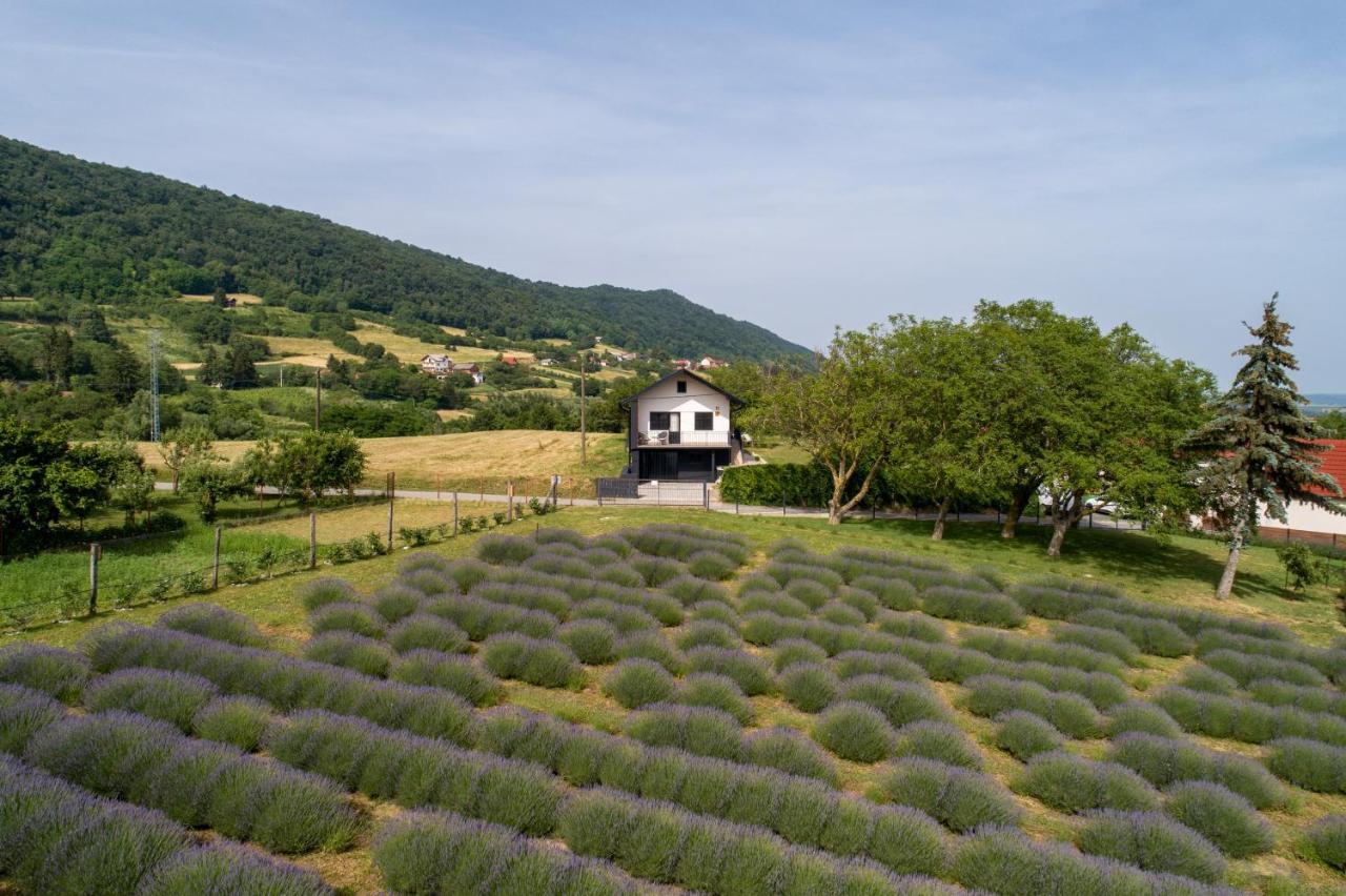 Vacation Home - Nest Kalnik Eksteriør bilde