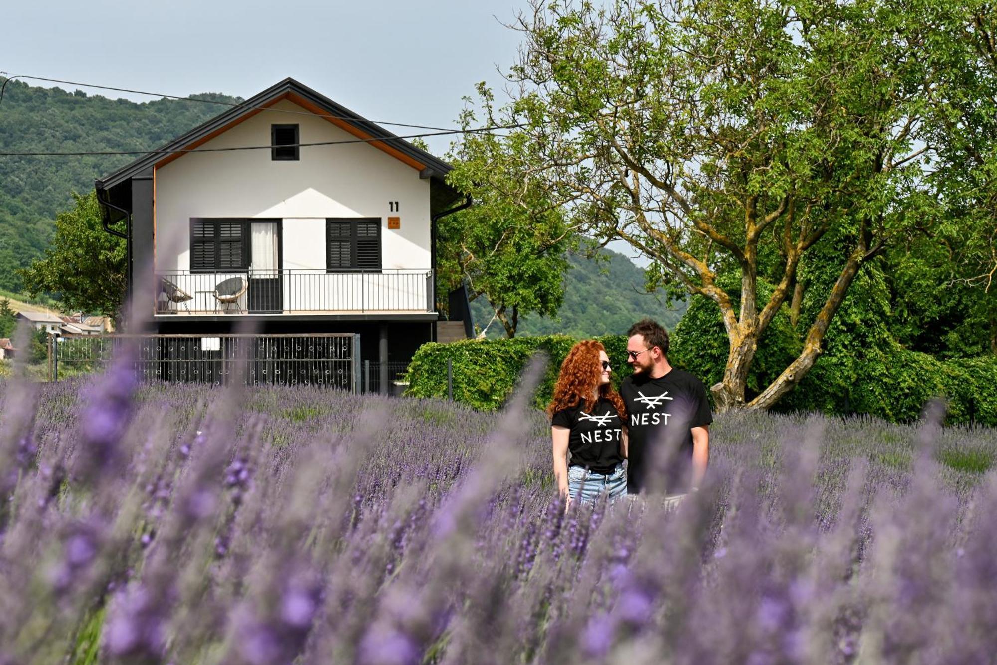 Vacation Home - Nest Kalnik Eksteriør bilde